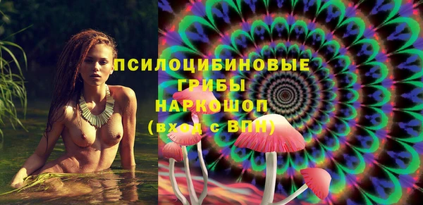мяу мяу мука Беломорск