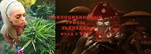 прущая мука Белокуриха