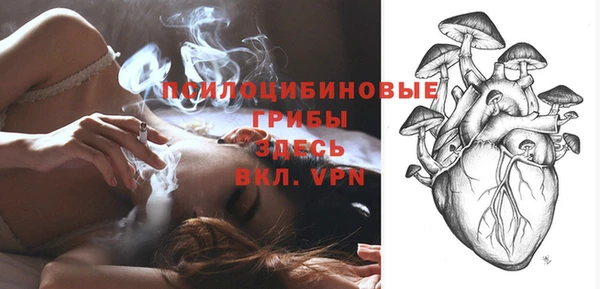 мяу мяу мука Беломорск