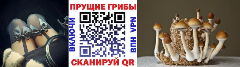 darknet клад  Гулькевичи  Галлюциногенные грибы мицелий  мега ССЫЛКА 