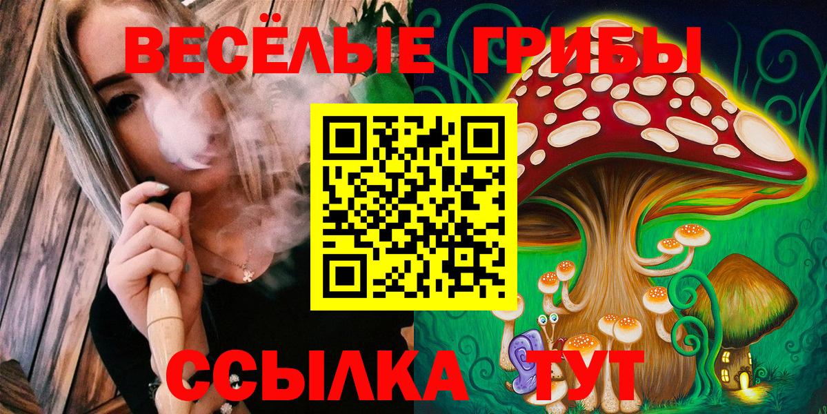 Псилоцибиновые грибы Cubensis Гулькевичи